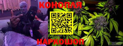 Альфа ПВП Можга